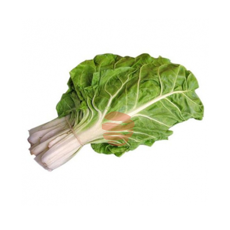 acelga Frutas y verduras a domicilio en Quito y Cumbaya , El Fruton acelga Frutas y verduras a domicilio en Quito y Cumbaya , El Fruton