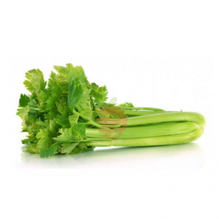 Apio entero