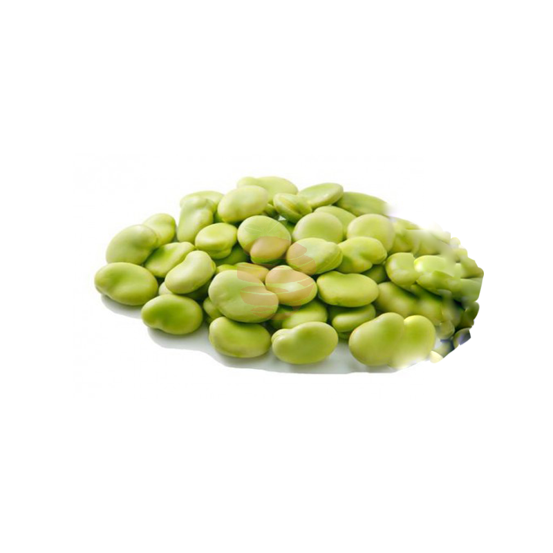 haba repelada Frutas y verduras a domicilio en Quito y Cumbaya , El Fruton haba repelada Frutas y verduras a domicilio en Quito y Cumbaya , El Fruton