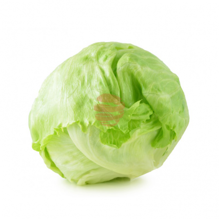 Lechuga redonda