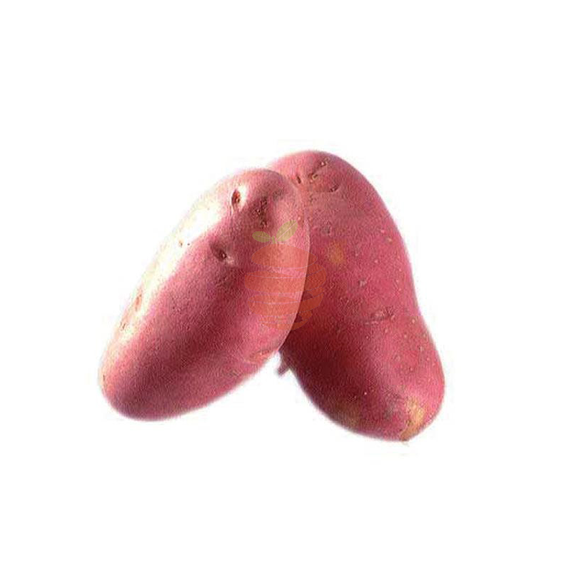 papa chola chaupi Frutas y verduras a domicilio en Quito y Cumbaya , El Fruton