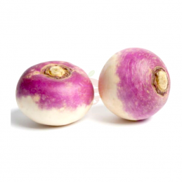 Papanabo
