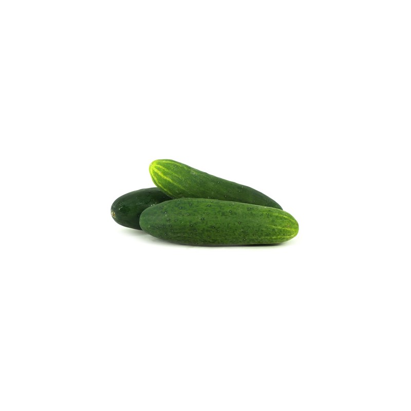 pepinillo Frutas y verduras a domicilio en Quito y Cumbaya , El Fruton pepinillo Frutas y verduras a domicilio en Quito y Cumbaya , El Fruton