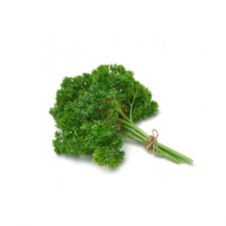 Perejil crespo
