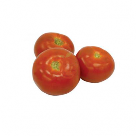 Tomate riñon