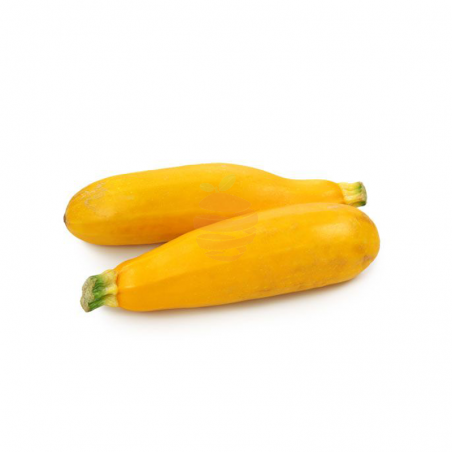 Zuchinni amarillo