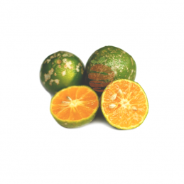 Limon mandarina Frutas y verduras a domicilio en Quito y Cumbaya , El Fruton
