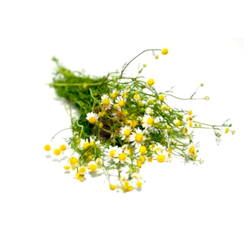 manzanilla fresca frutas y vegetales domicilio en Quito y Cumbaya , El Fruton