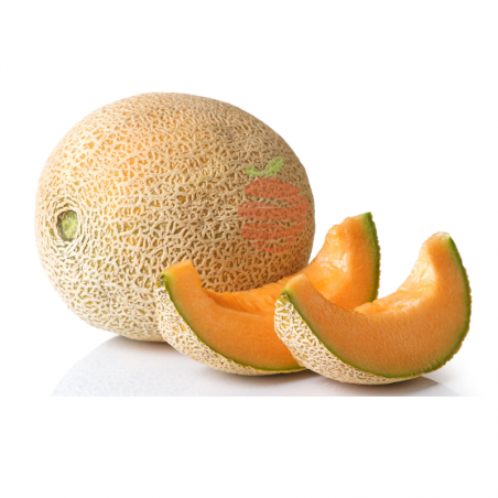Melón