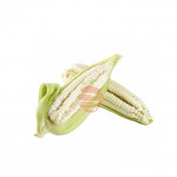 choclo entero Frutas y verduras a domicilio en Quito y Cumbaya , El Fruton