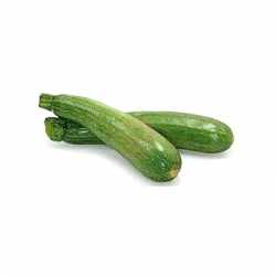 Zucchini verde