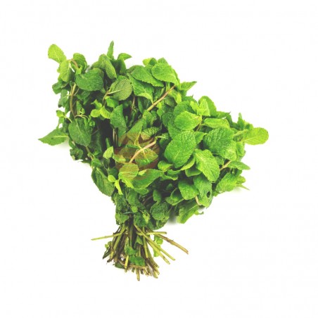Hierba buena fresca a domicilio en Quito y Valles