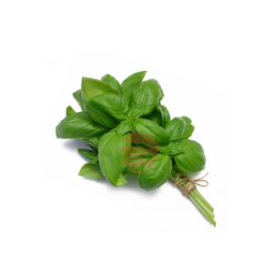 Albahaca