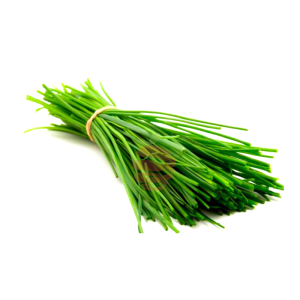 Cebollin