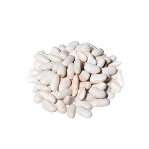 Fréjol blanco