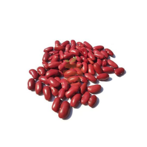 Fréjol rojo