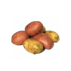 Papa chola