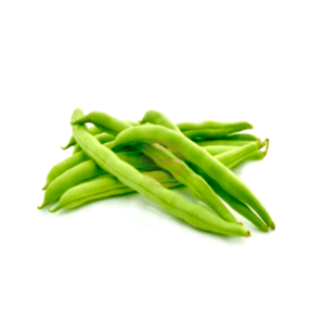 Vainita